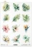 Monstera, liście palmowe, palma, bananowiec, liście tropikalne, egzotyka, akwarela, Hibiskus, strelicja, plumeria, kwiaty tropikalne, natura